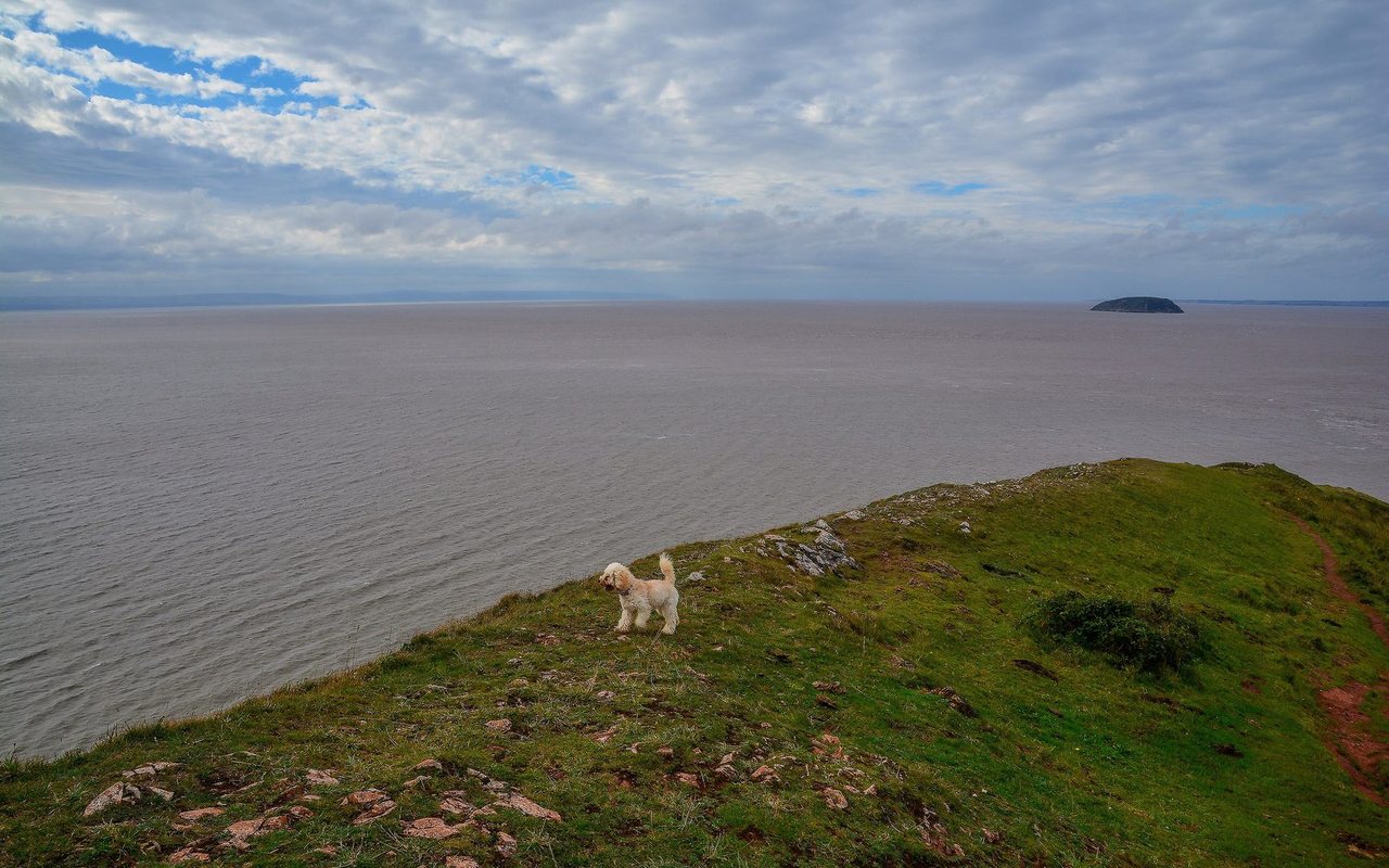 Brean Down, Weston-super-Mare