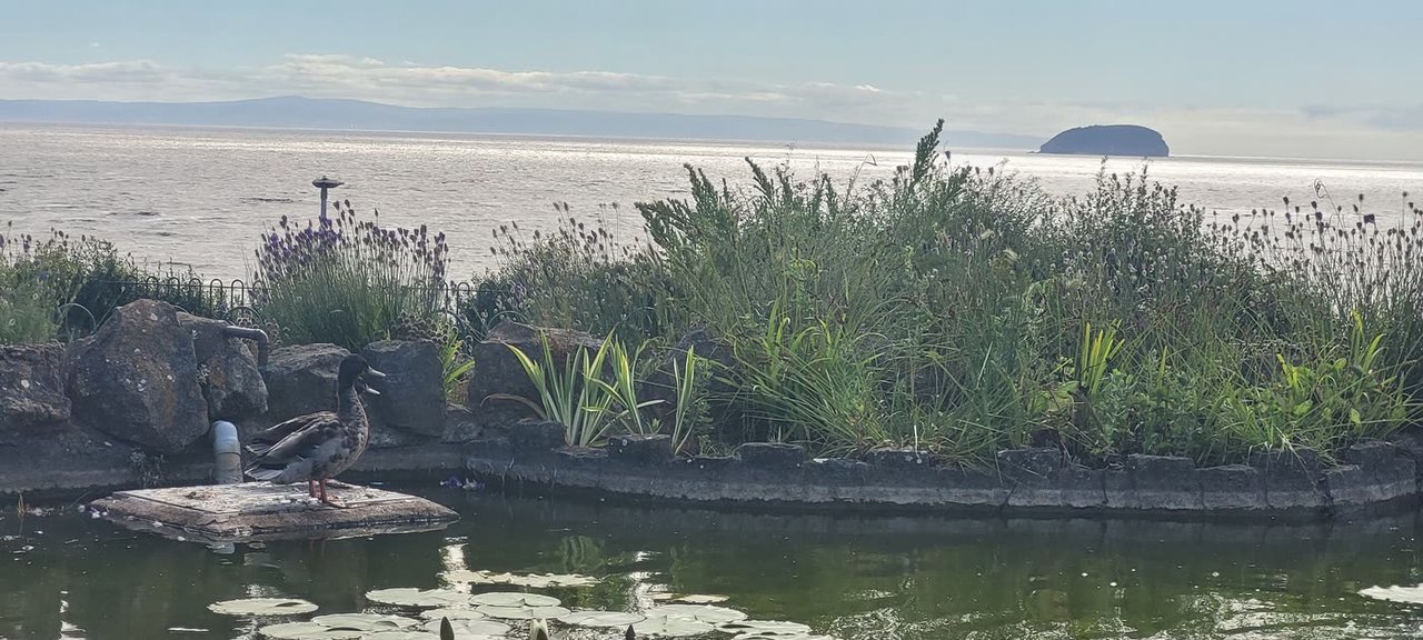 Marine Lake, Weston-super-Mare